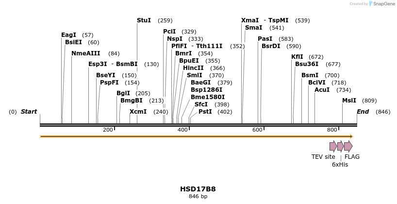 48911_map