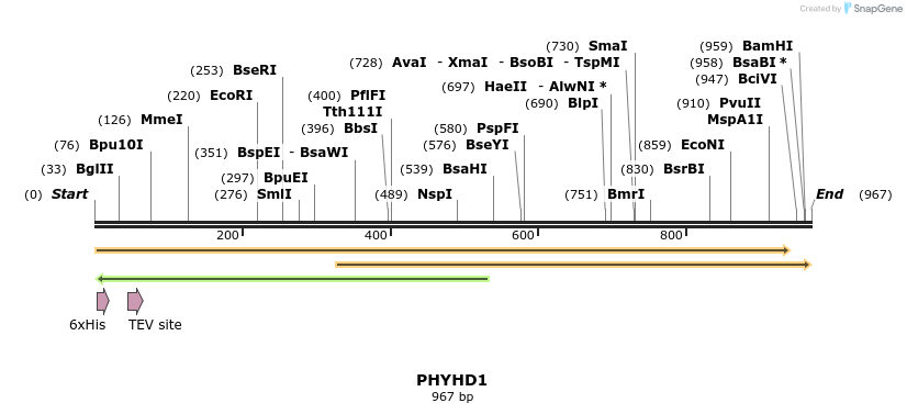 48912_map