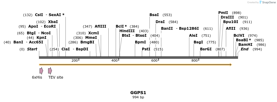 48913_map