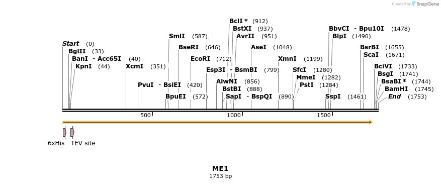 48915_map