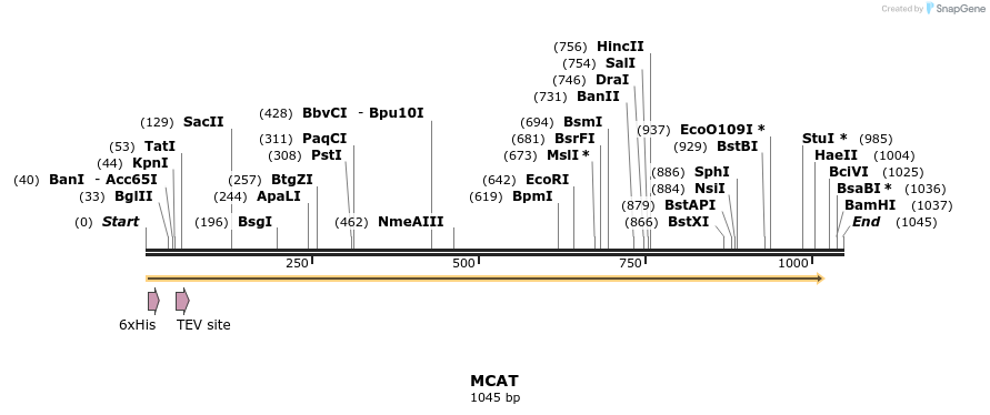48916_map