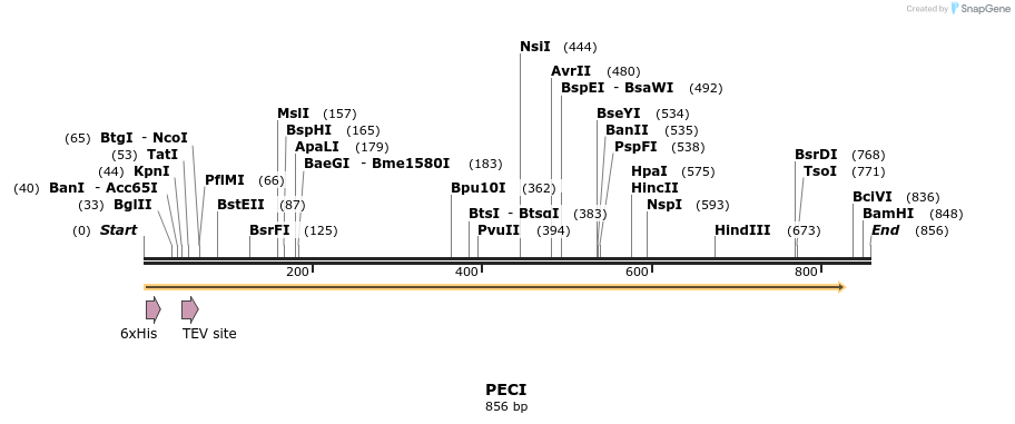 48917_map