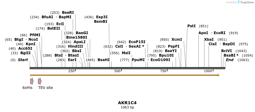 48919_map