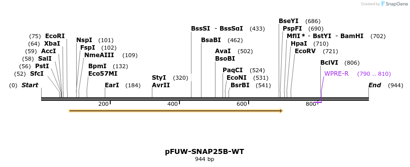 489197_map