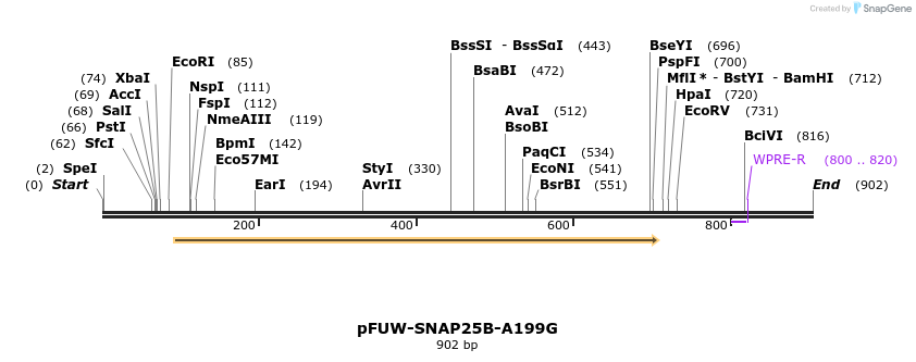 489199_map