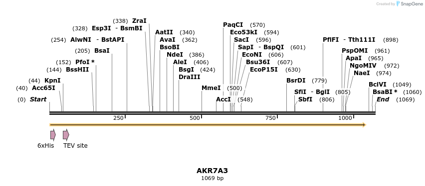 48920_map