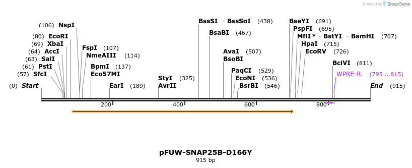 489201_map