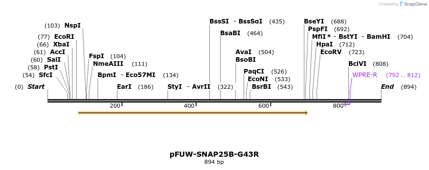 489203_map