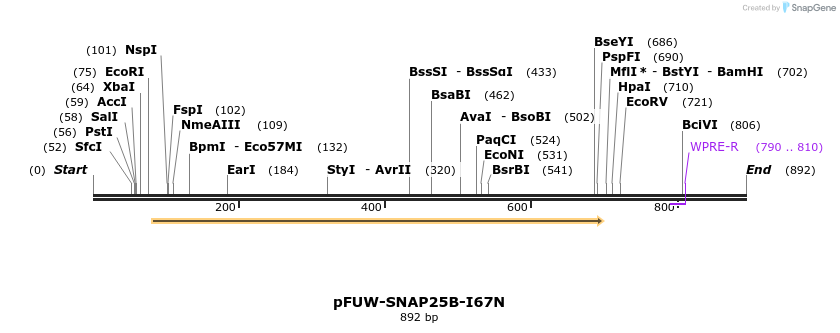 489205_map