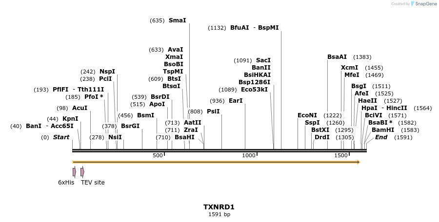 48921_map
