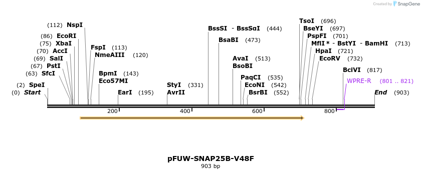 489215_map