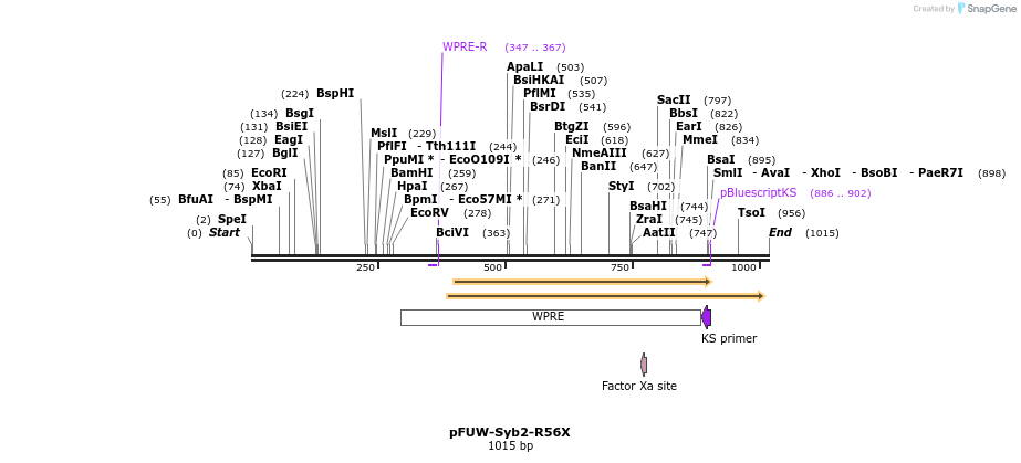 489229_map