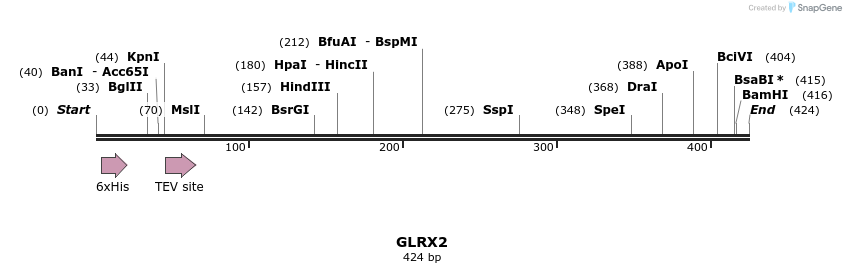 48923_map