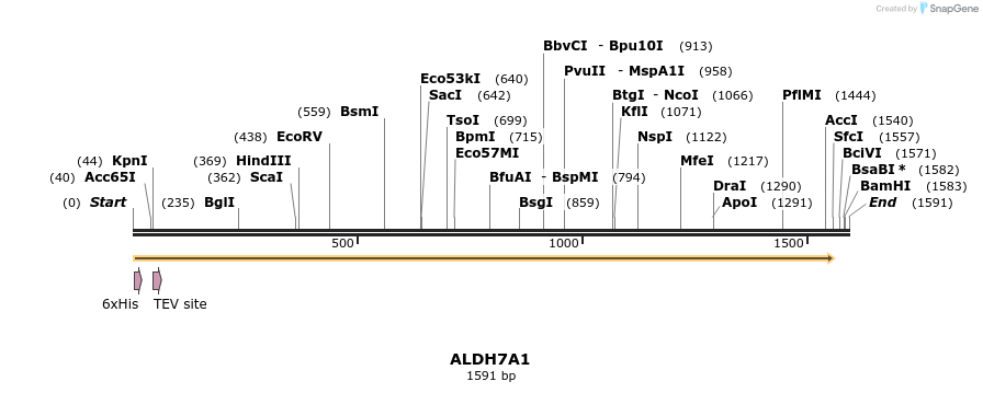 48924_map