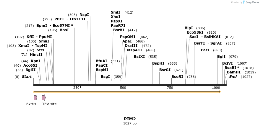 48925_map