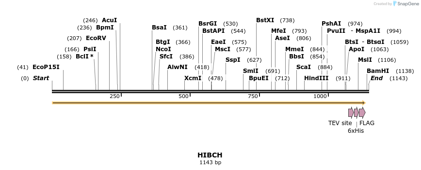 48926_map