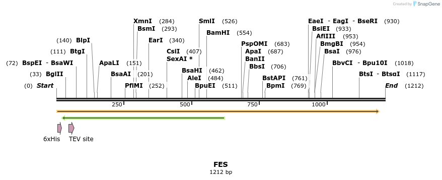 48927_map