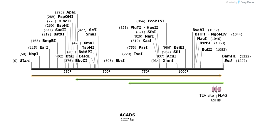 48928_map