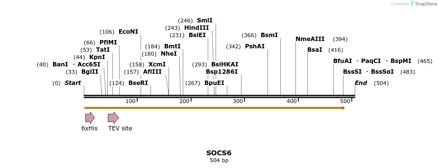 48929_map