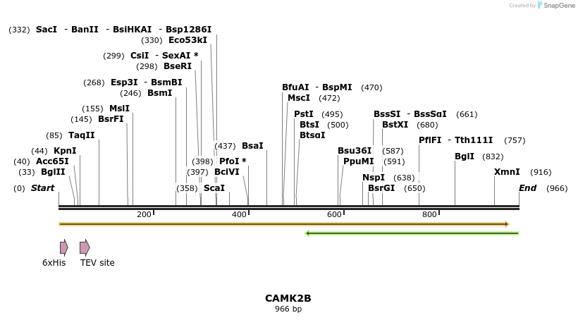 48931_map