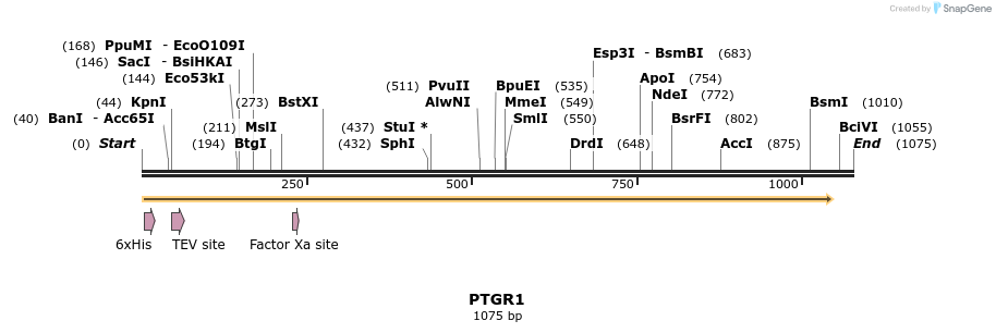 48932_map