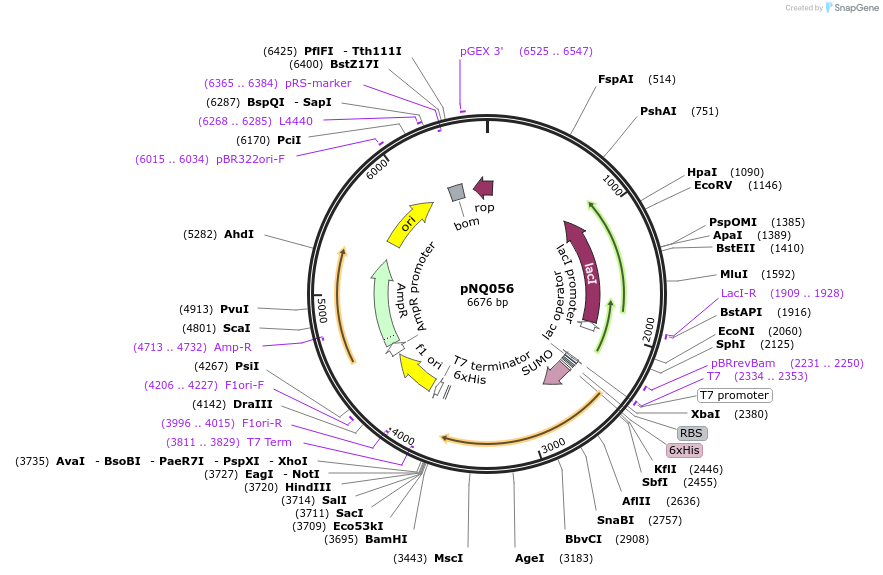 489327_map