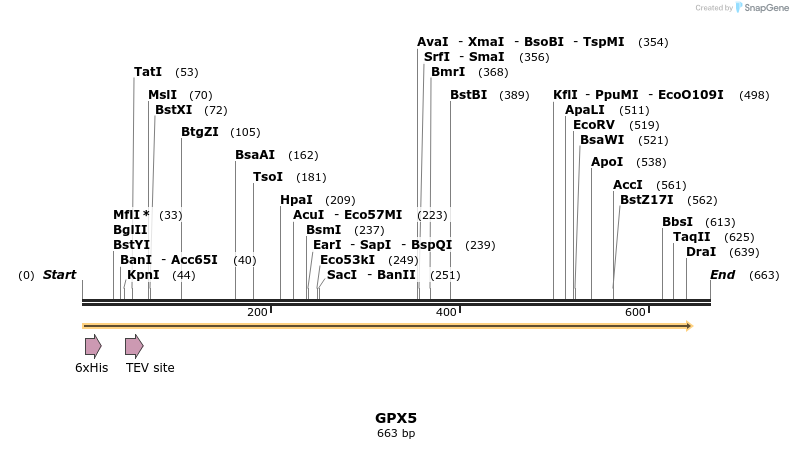 48933_map