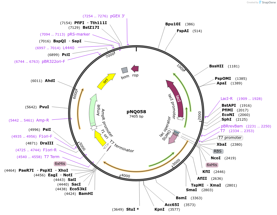 489332_map