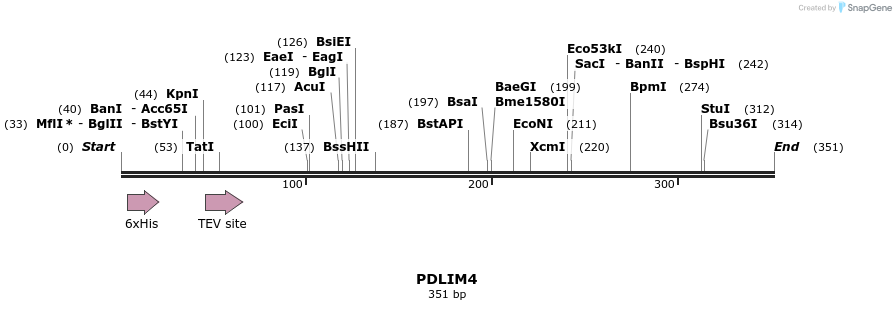 48935_map