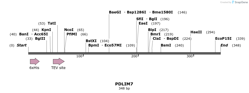 48936_map