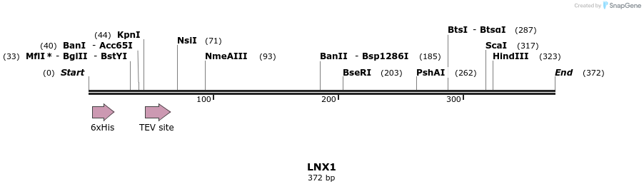 48937_map