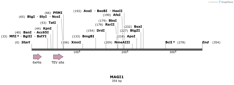 48941_map