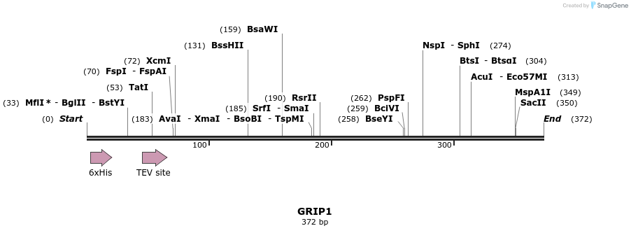 48942_map