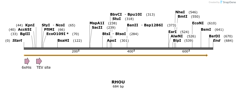 48943_map