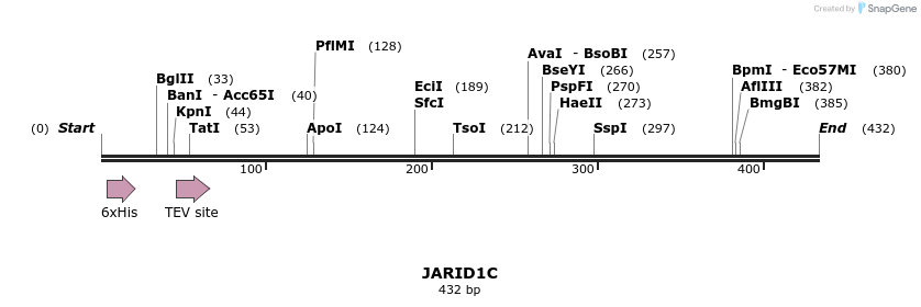 48944_map