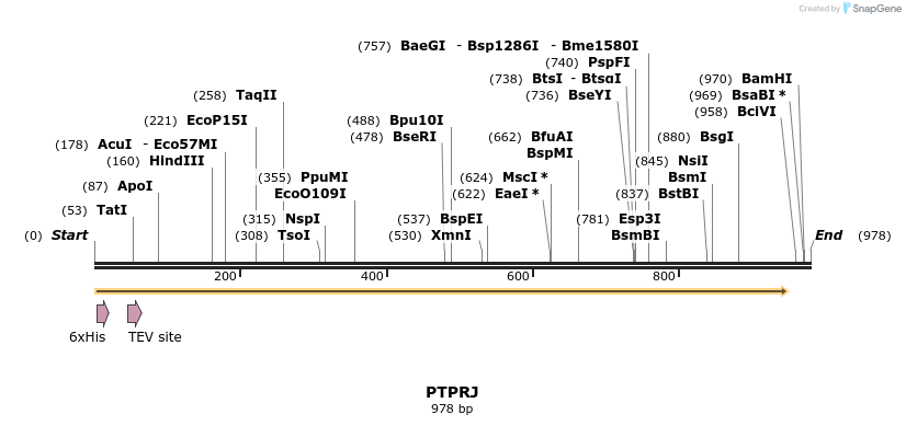 48946_map