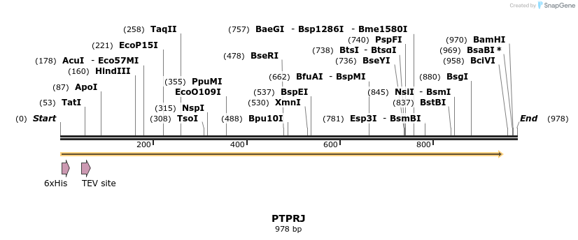 48947_map