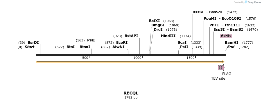 48948_map