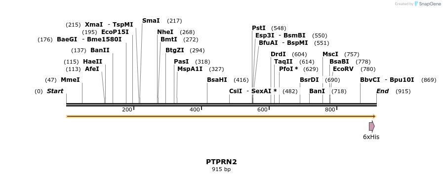 48949_map