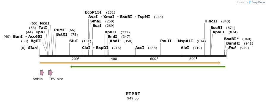 48951_map