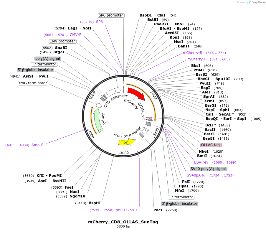 489521_map
