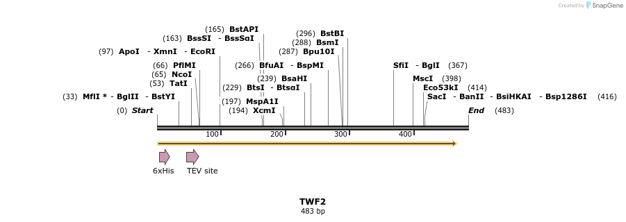 48953_map