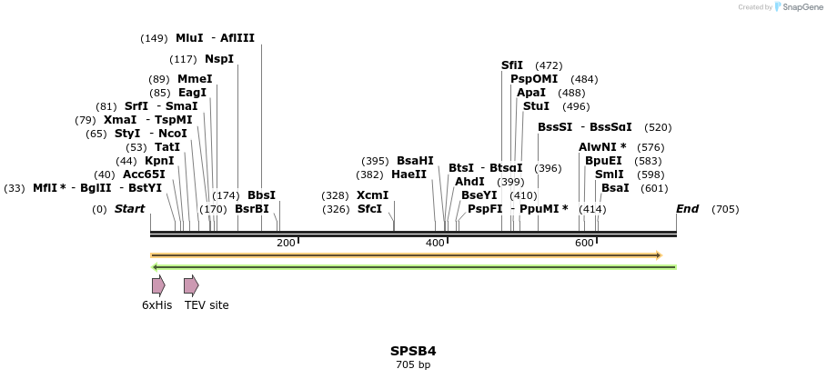 48954_map