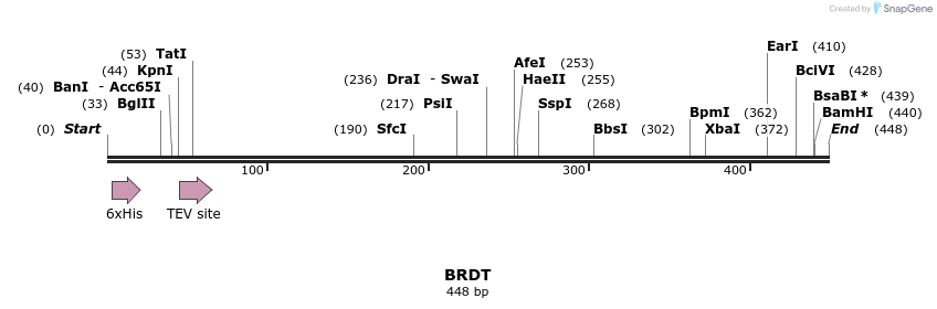 48956_map