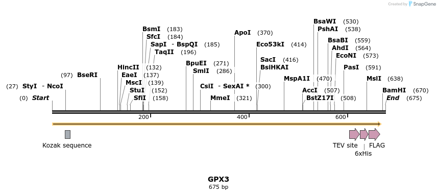 48957_map