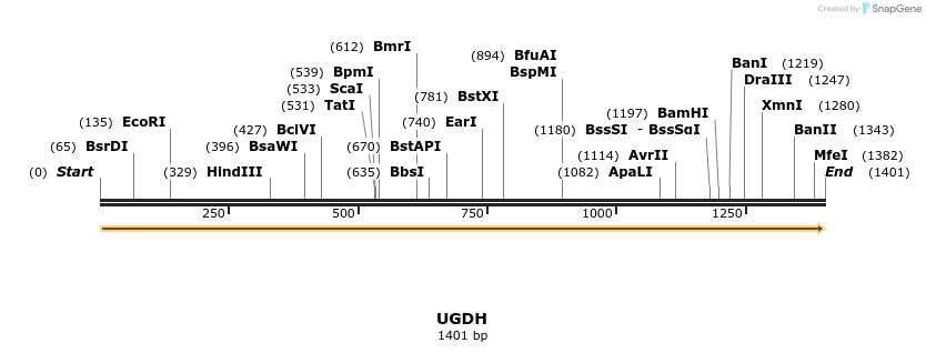 48958_map