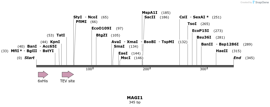 48959_map