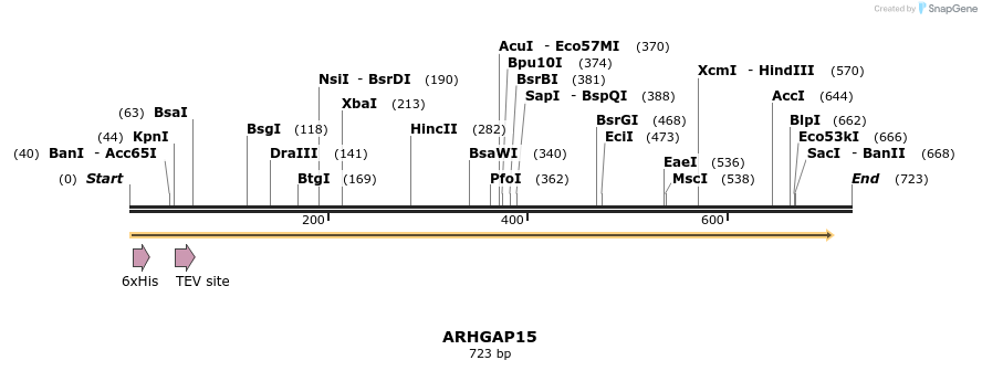 48961_map