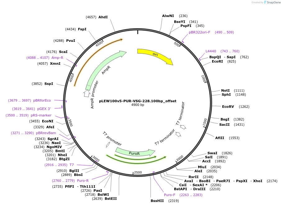 489617_map