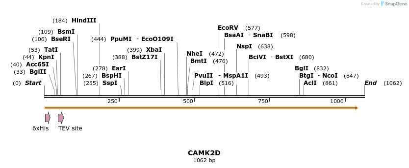 48962_map